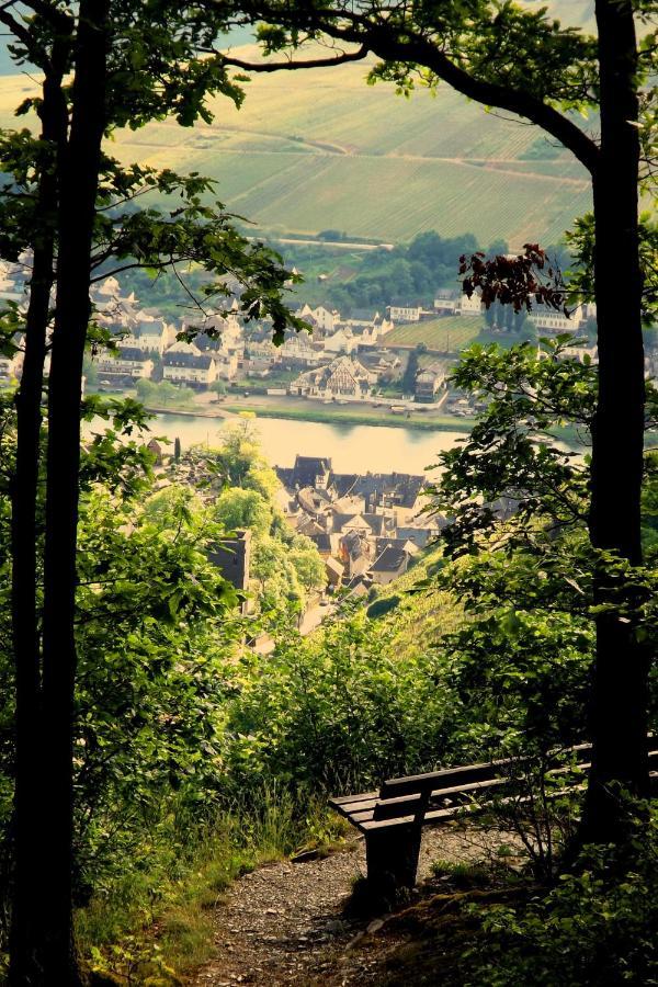 Mosel Panorama Apartment Zell an der Mosel Luaran gambar