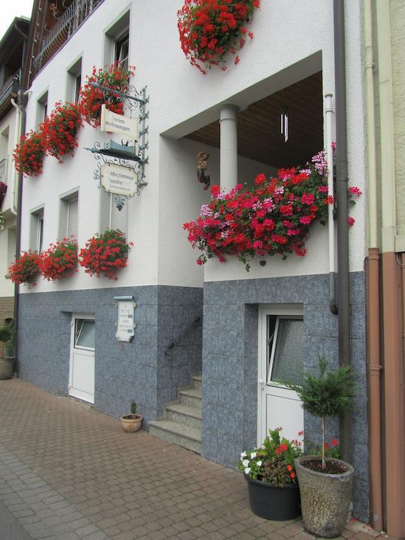 Mosel Panorama Apartment Zell an der Mosel Luaran gambar