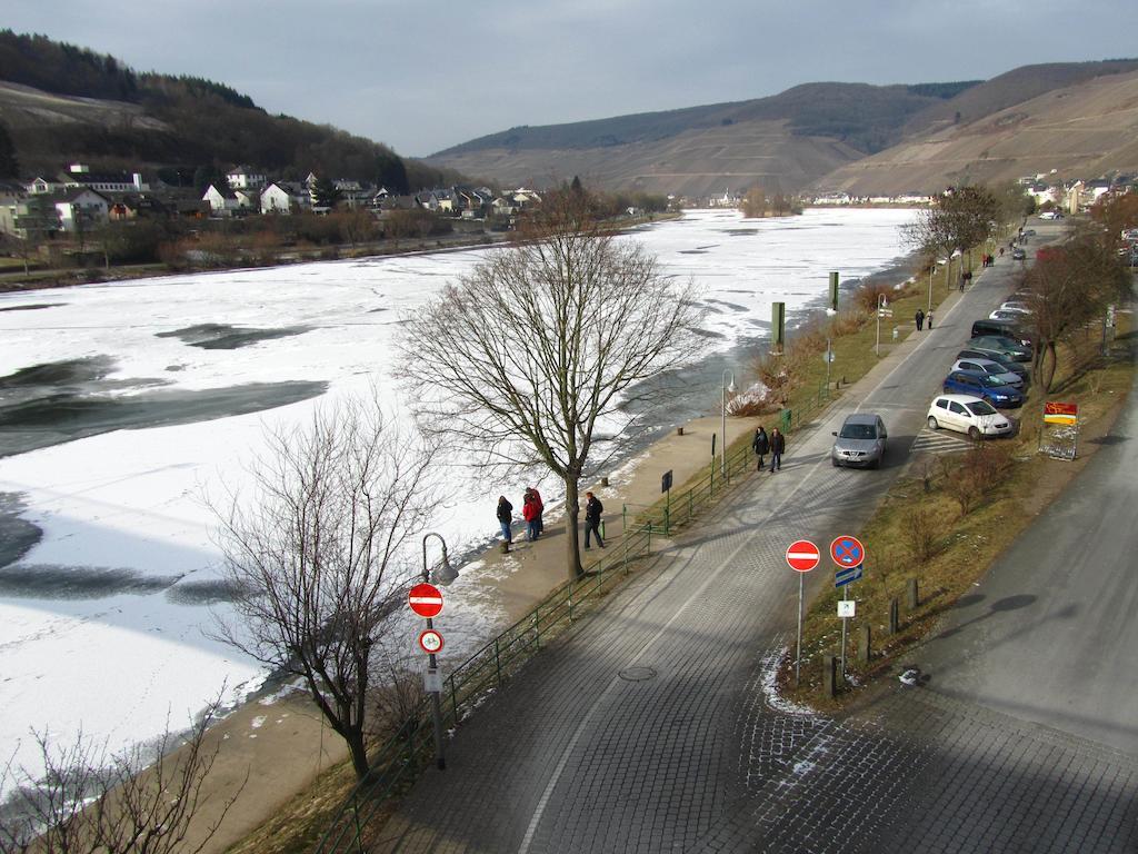 Mosel Panorama Apartment Zell an der Mosel Luaran gambar