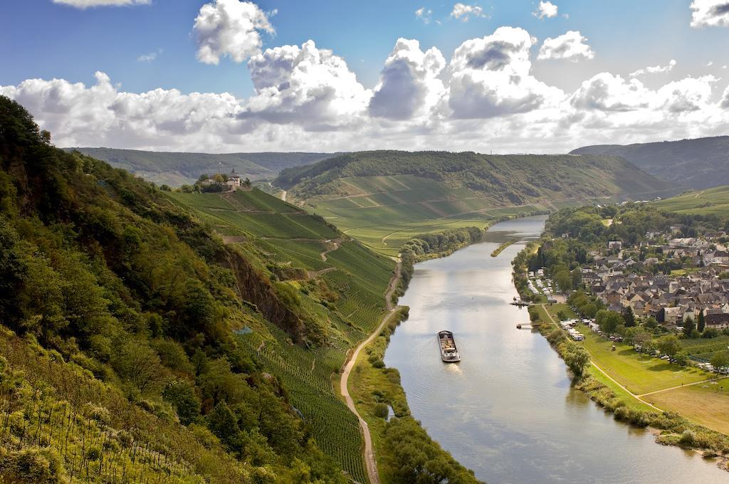 Mosel Panorama Apartment Zell an der Mosel Luaran gambar