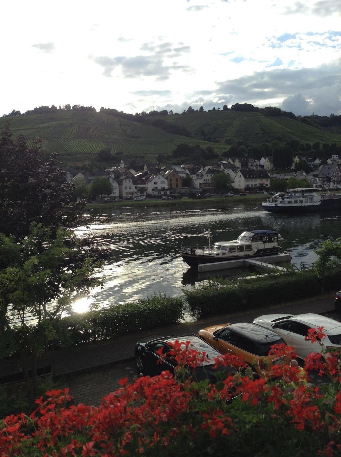 Mosel Panorama Apartment Zell an der Mosel Luaran gambar