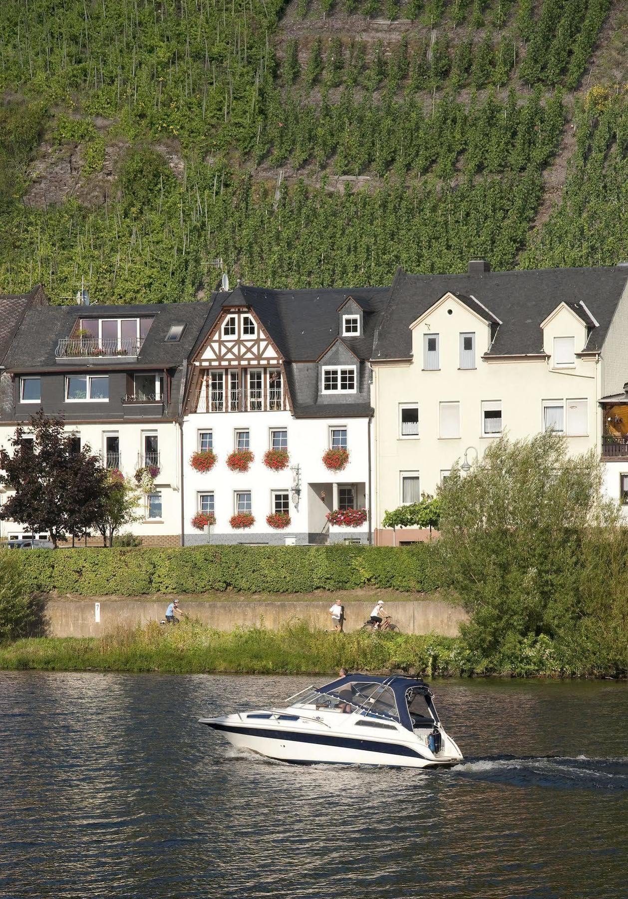 Mosel Panorama Apartment Zell an der Mosel Luaran gambar