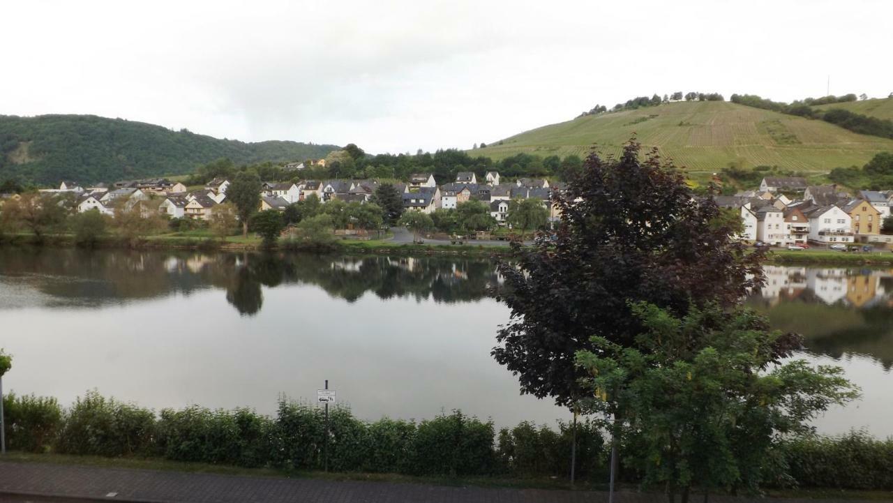 Mosel Panorama Apartment Zell an der Mosel Luaran gambar